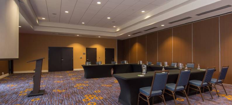 罗利-德罕机场/布莱尔克里克万怡酒店(Courtyard Raleigh-Durham Airport/Brier Creek)图片