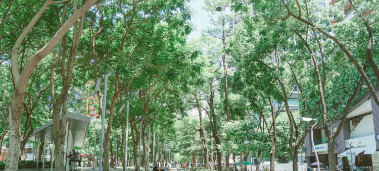 臺中勤美洲际酒店图片