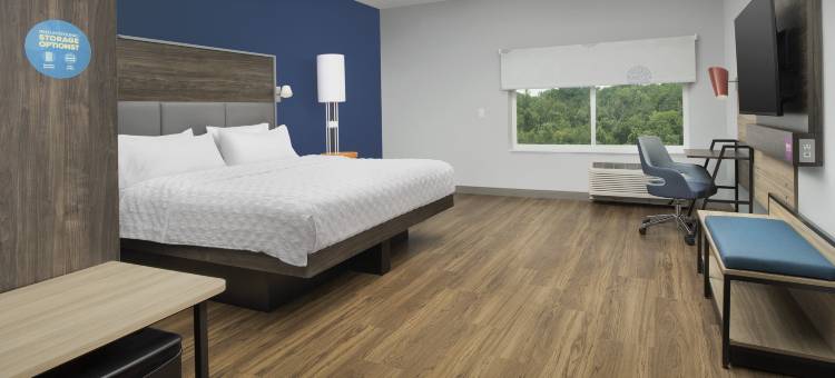 夏洛特机场普安特湖希尔顿Tru酒店(Tru by Hilton Charlotte Airport Lake Pointe)图片