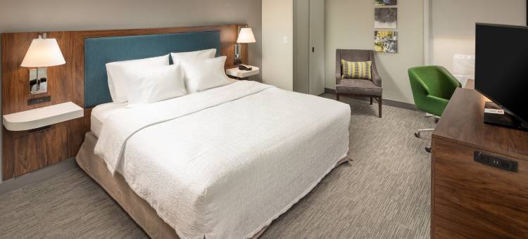 阿什维尔欢朋酒店-隧道路(Hampton Inn Asheville-I-240 Tunnel Rd.)图片