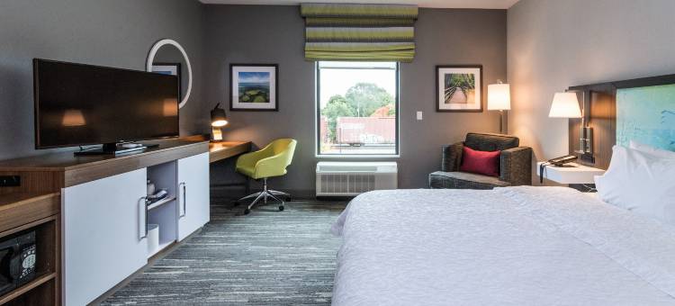 艾伦公园欢朋套房酒店(Hampton Inn & Suites Detroit/Allen Park)图片