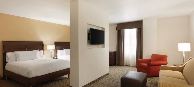 希尔顿花园酒店-罗切斯特市区(Hilton Garden Inn Rochester-Downtown)图片