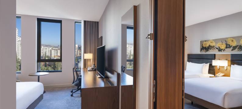 第比利斯希尔顿花园酒店(Hilton Garden Inn Tbilisi Chavchavadze)图片