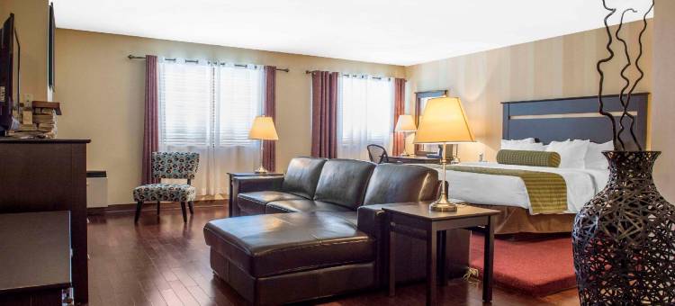 凯隆酒店和会议中心(Clarion Hotel & Conference Centre)图片