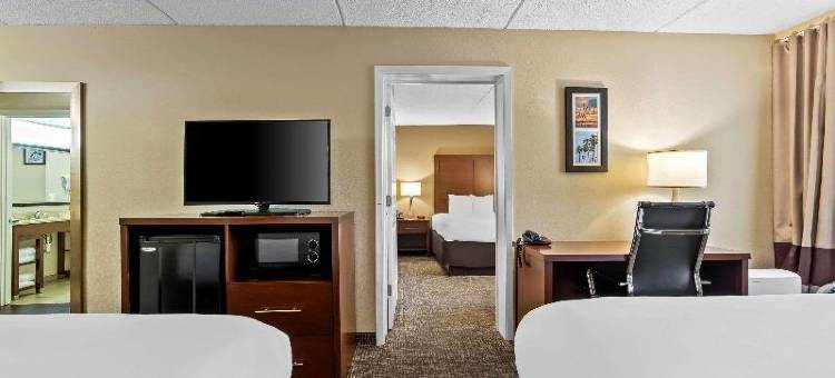 舒适套房酒店(Comfort Inn & Suites Panama City - St Andrew)图片