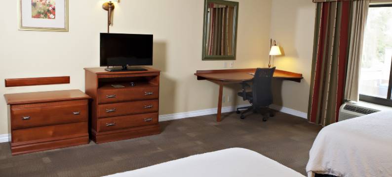 希尔顿欢朋酒店-马丁(Hampton Inn Martin)图片