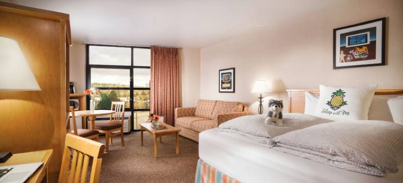 Staypineapple-大学旅馆-西雅图大学区(Staypineapple, University Inn, University District Seattle)图片