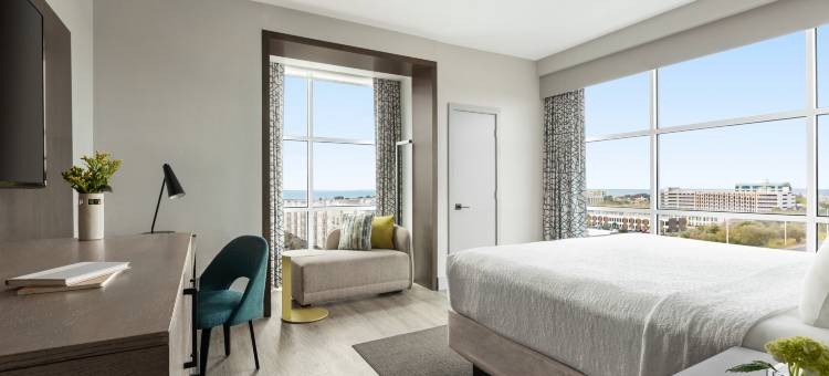 坦帕阿尔巴酒店，希尔顿启缤精选(Hotel Alba Tampa, Tapestry Collection by Hilton)图片