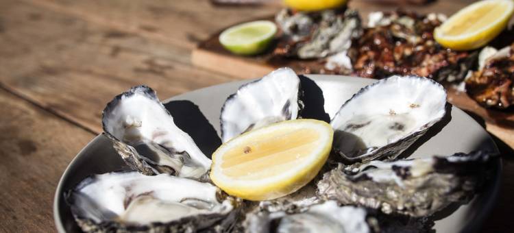 美人鱼酒店(Dampier Mermaid Hotel Karratha)图片