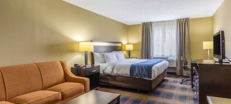 独立市-克利夫兰的舒适酒店(Comfort Inn)图片