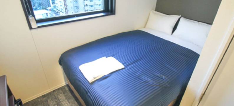 利夫马克斯酒店-名古屋金山店(HOTEL LiVEMAX Nagoya Kanayama)图片