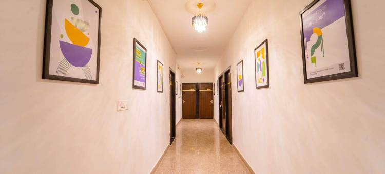 Treebo 蓝色 Vvu(Treebo Blu Vvu)图片