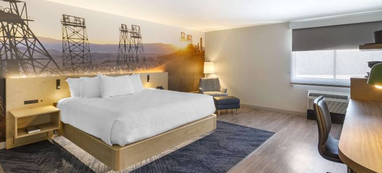 波由特广场贝斯特韦斯特优质酒店(Best Western Plus Butte Plaza Inn)图片