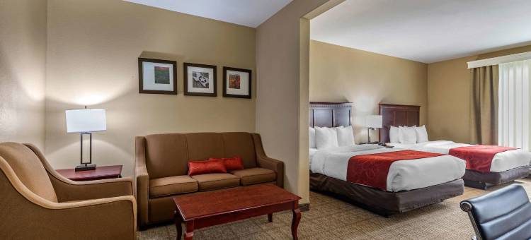 舒适套房酒店(Comfort Suites)图片