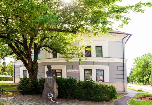 Corso Lux Apartman Hotel Overview