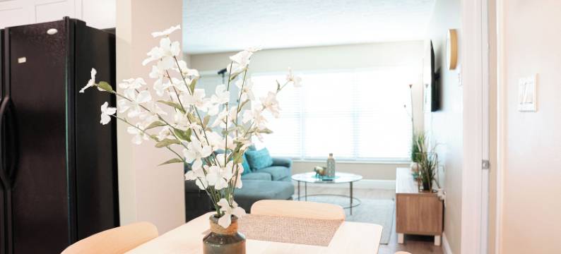 坦帕家庭之家(Family Home Tampa)图片