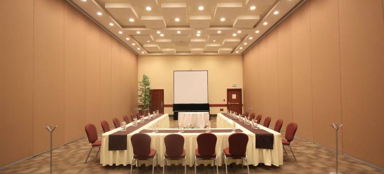 假日酒店-莱昂市长广场(Holiday Inn & Suites Leon Plaza Mayor)图片