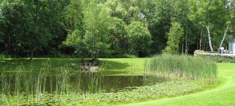 Charming Country Retreat with Spacious Yard - Cozy Family Haven图片