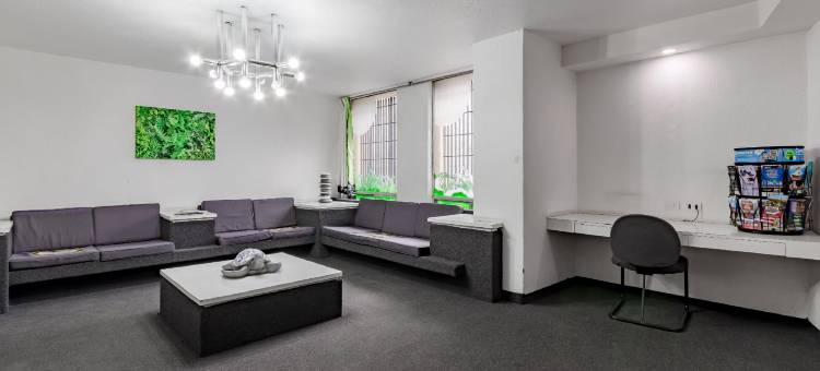 OYO 希达尔戈酒店(OYO Hotel Hidalgo)图片