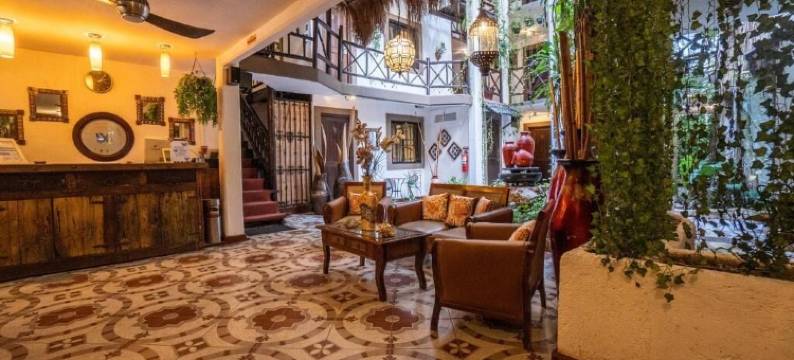 波萨达马里博精萨精品酒店(Posada Mariposa Boutique Hotel - 5th Avenue)图片