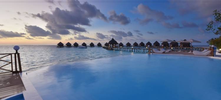 马尔代夫蓝色美人蕉岛水疗度假村(Thulhagiri Island Resort & Spa)图片