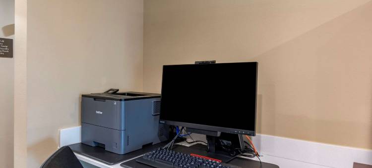 舒适酒店及套房(Comfort Inn & Suites)图片