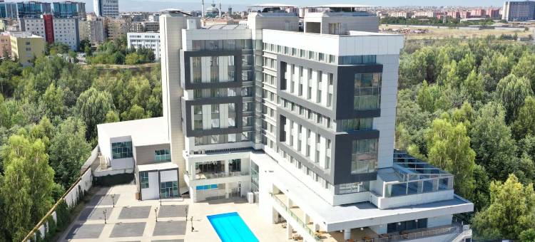 温德姆花园迪亚巴克尔(Wyndham Garden Diyarbakir)图片