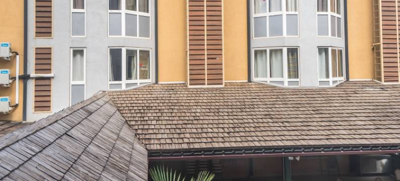 马哈拉加酒店(Hotel Maharajah)图片