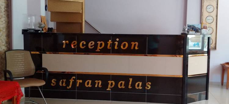 帕拉斯藏红花酒店(Safran Palas)图片