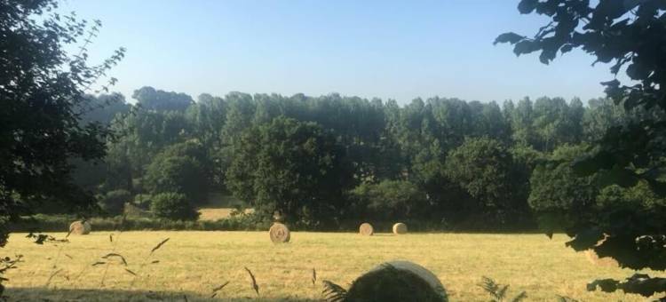 克莱夫香普斯旅馆酒店(Chambres d'Hôtes la Clef des Champs Normandie Manche 50)图片