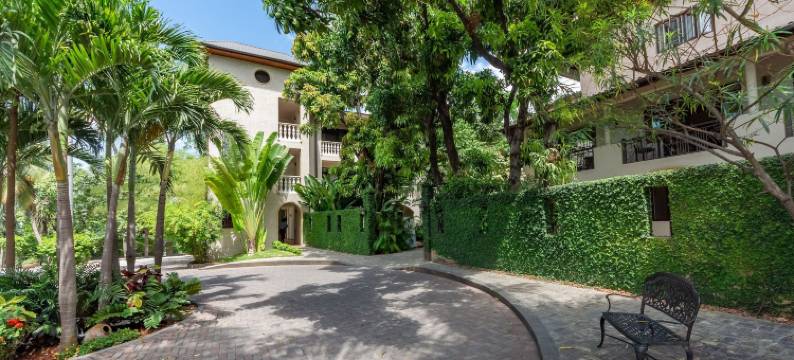 泰雷兹别墅酒店(Hotel Villa Therese)图片