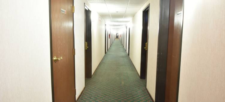 斯普林菲尔德巴特菲尔德温德姆速8酒店(Super 8 by Wyndham Springfield/Battlefield)图片