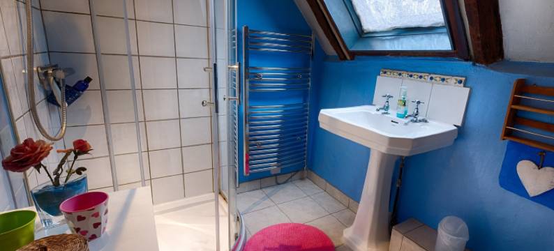 老庄园住宿加早餐旅馆(The Old Manor House B & B)图片