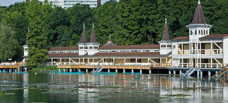 恩萨纳温泉赫威兹酒店(Ensana Thermal Hévíz)图片