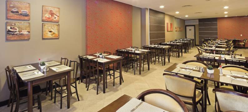 南卡希亚斯天鹅酒店(Swan Caxias do Sul)图片