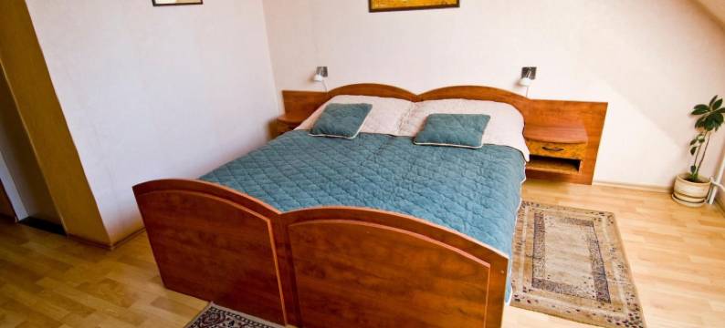 德瑞休闲酒店(Hotel Relax u Drsů)图片