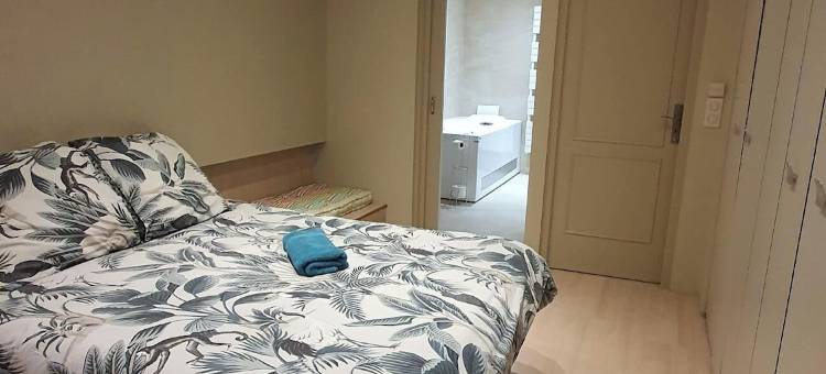 伯纳奇之家(Proche Centre, Gare, Parc, Parking by Maison Bonhage)图片