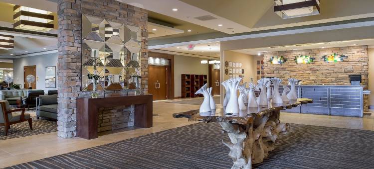 柯林斯威尔圣路易斯希尔顿逸林酒店(DoubleTree by Hilton Collinsville - St. Louis)图片