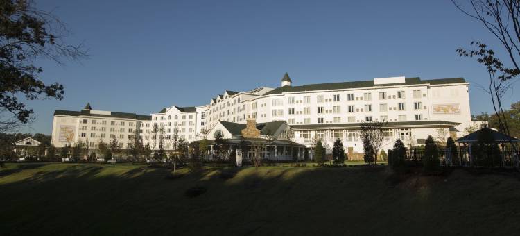 达莱坞梦想度假村(Dollywood's DreamMore Resort and Spa)图片