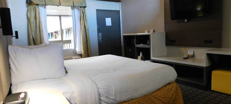 加特林堡市中心林荫道戴斯套房酒店(Days Inn & Suites by Wyndham Downtown Gatlinburg Parkway)图片