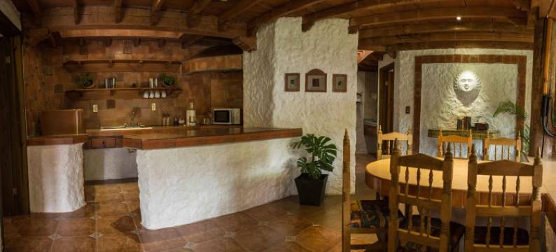 森林太阳套房酒店(Hotel Bosques del Sol Suites)图片