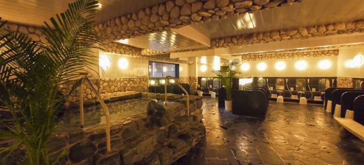 福山格兰蒂亚露樱水疗度假酒店(Route Inn Grantia Fukuyama Spa Resort)图片