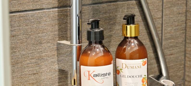 卡利斯特酒店(Kallisté)图片