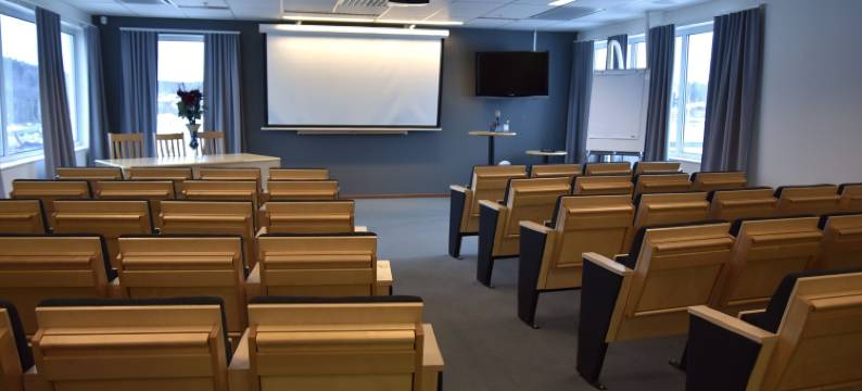 奥尔延酒店(Hotell Årjäng)图片