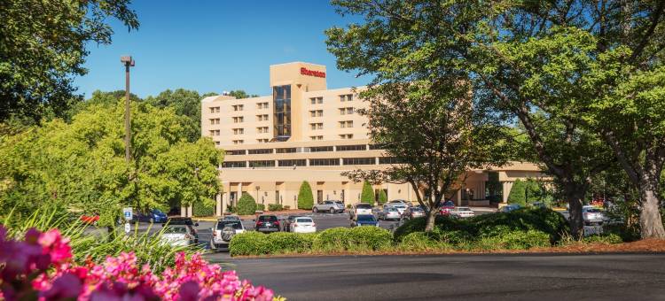夏洛特机场喜来登酒店(Sheraton Charlotte Airport Hotel)图片