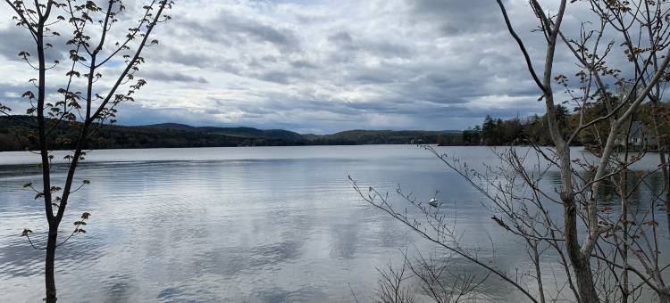 梅雷迪思旅馆(Meredith Inn)图片