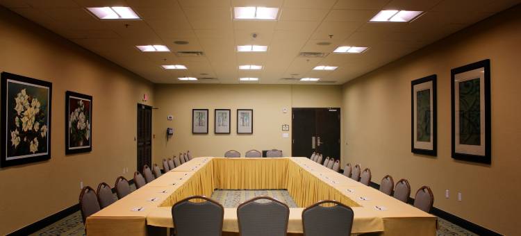 奥兰多罗森酒店(Rosen Inn at Pointe Orlando)图片