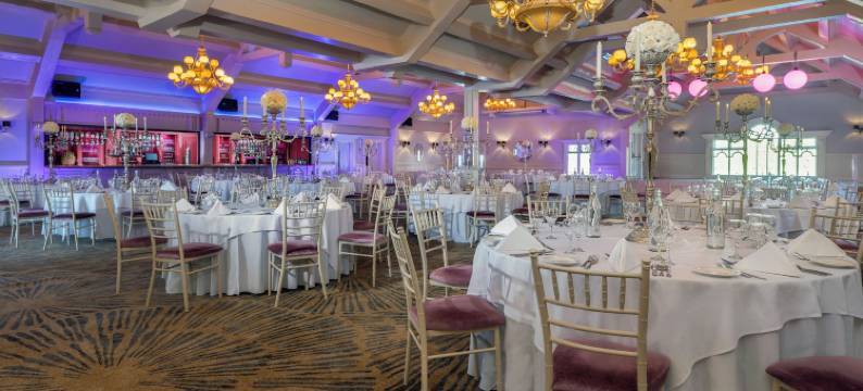 特雷希斯奥克伍德酒店(Treacys Oakwood Hotel, Shannon)图片