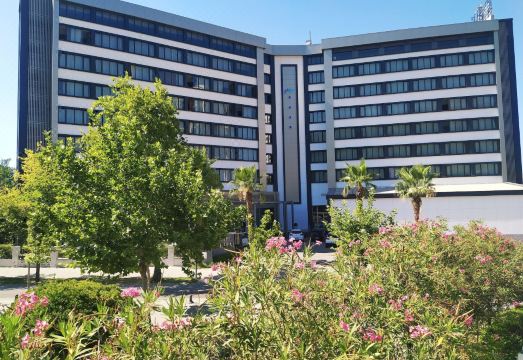 Buyuk Saruhan Hotel Hotel Overview