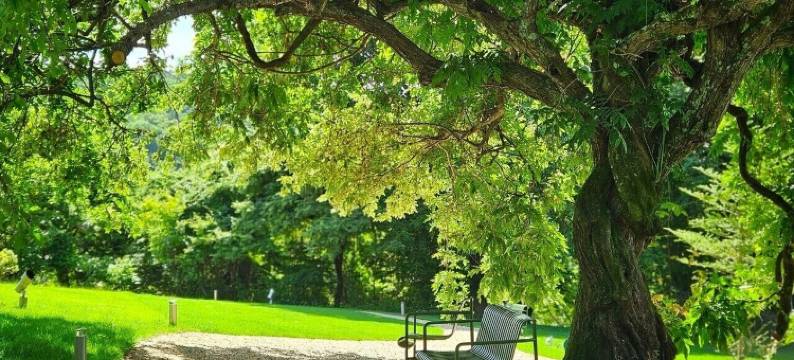 拉尔帕日酒店(Hotel de l'Alpage)图片